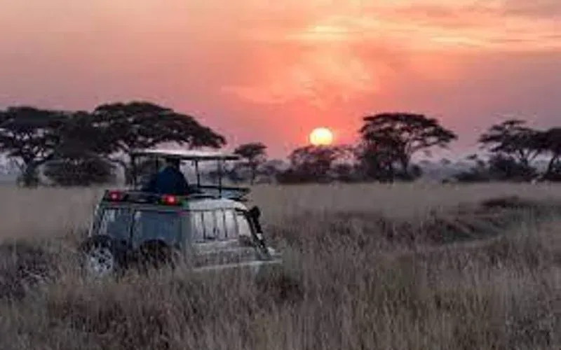 Kasungu National Park Sunset and Night Drives Safaris