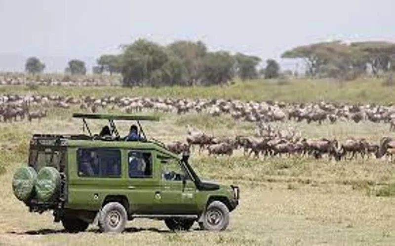 Katavi National Park Game Drives Safaris