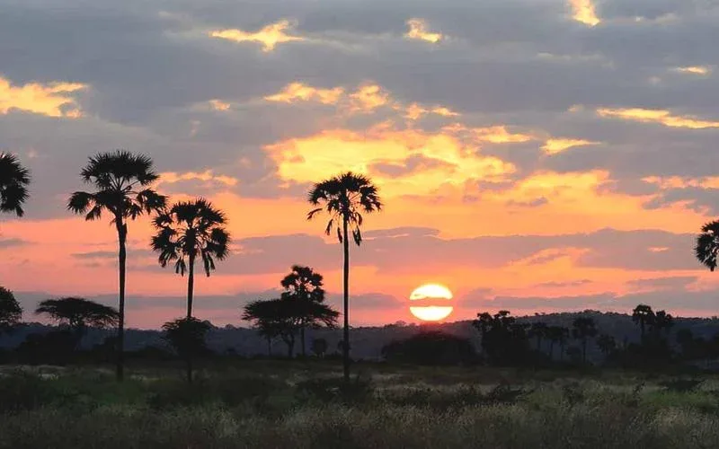 Katavi National Park Sunset Viewing Safari