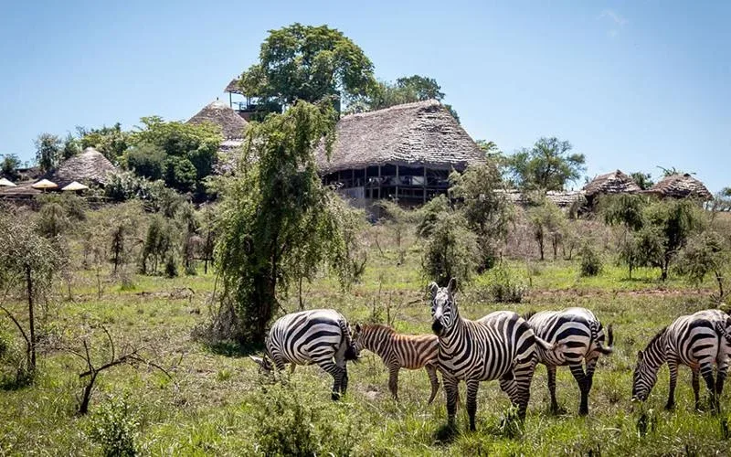 Katonga Wildlife Reserve Game Drives Safari