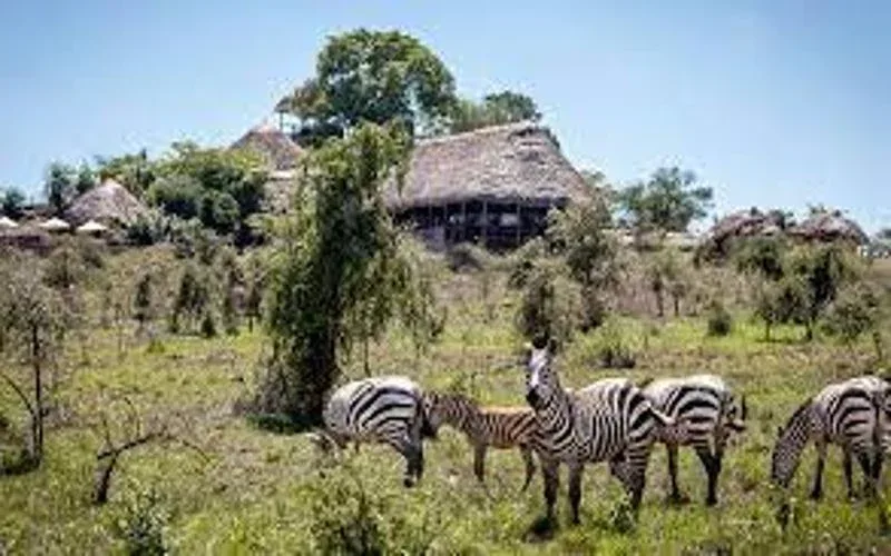 Katonga Wildlife Reserve Guided Nature Safari