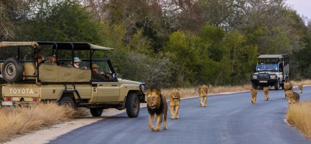 Kruger National Park South Africa2