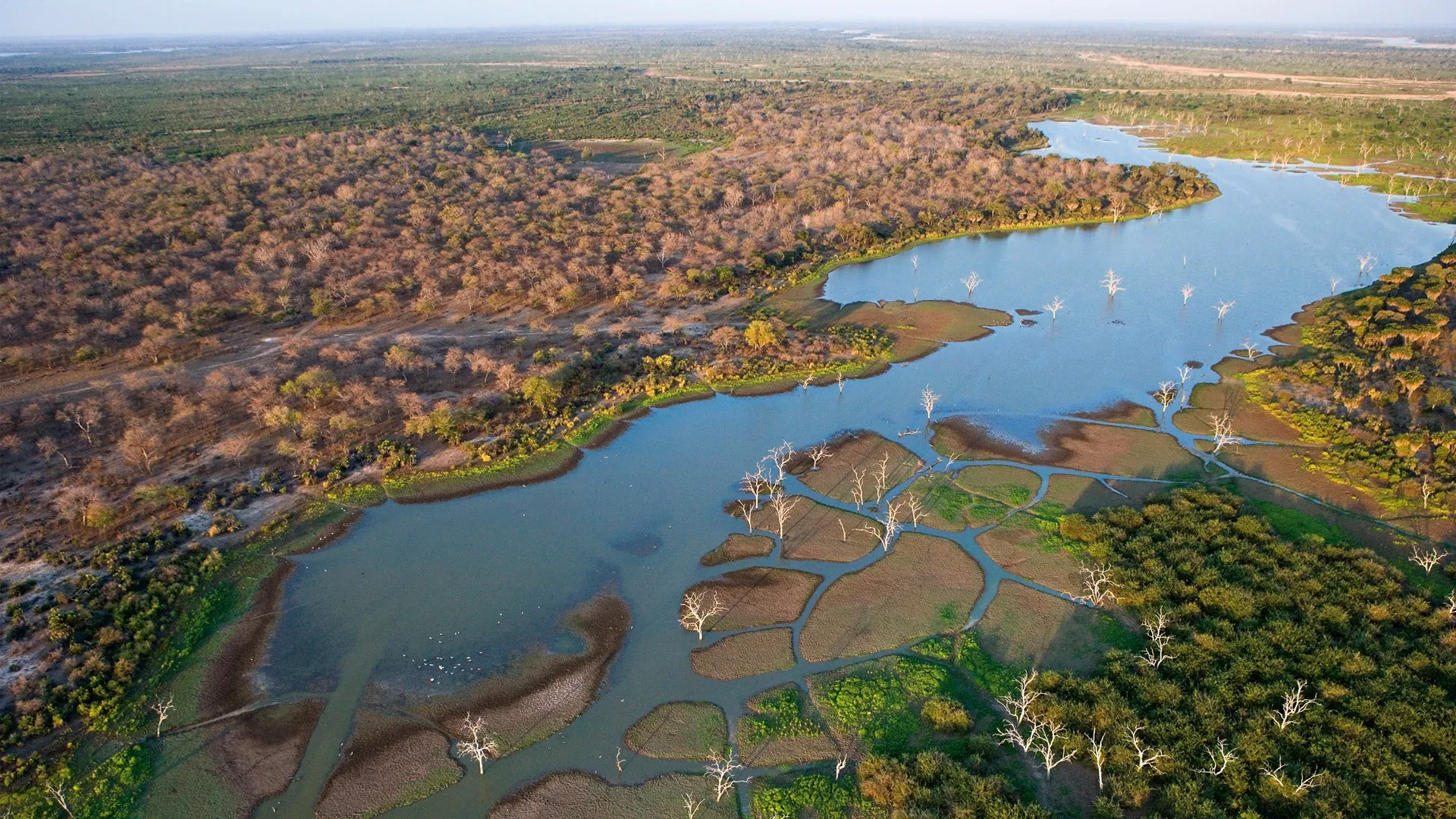 aerial view of the okavango delta channels and landscape