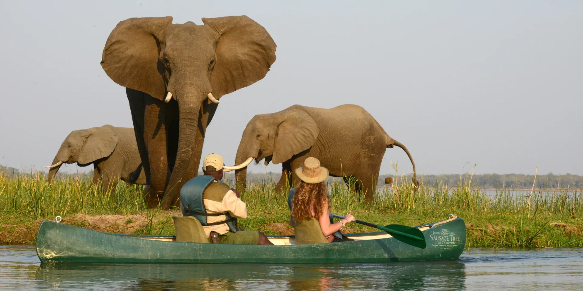 africa canoe wildlife