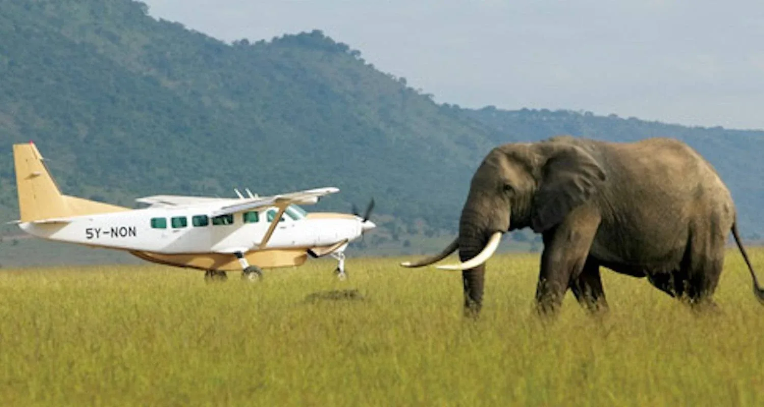 flights to Masai Mara National Reserve
