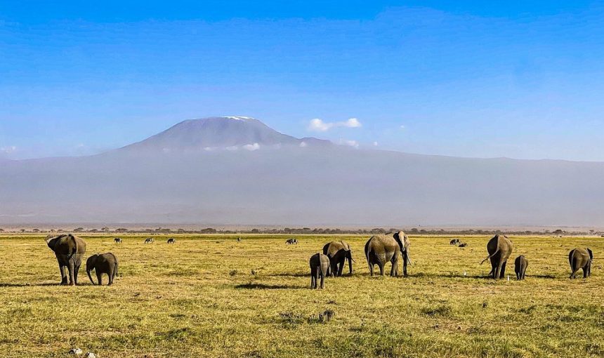 9-Day Kenya and Tanzania Safari Combined