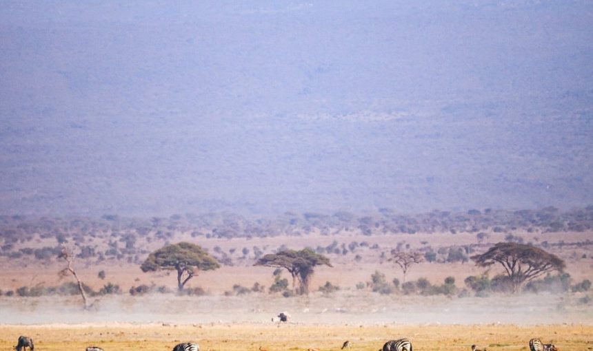 6-Day Amboseli, Tsavo West & East Safari
