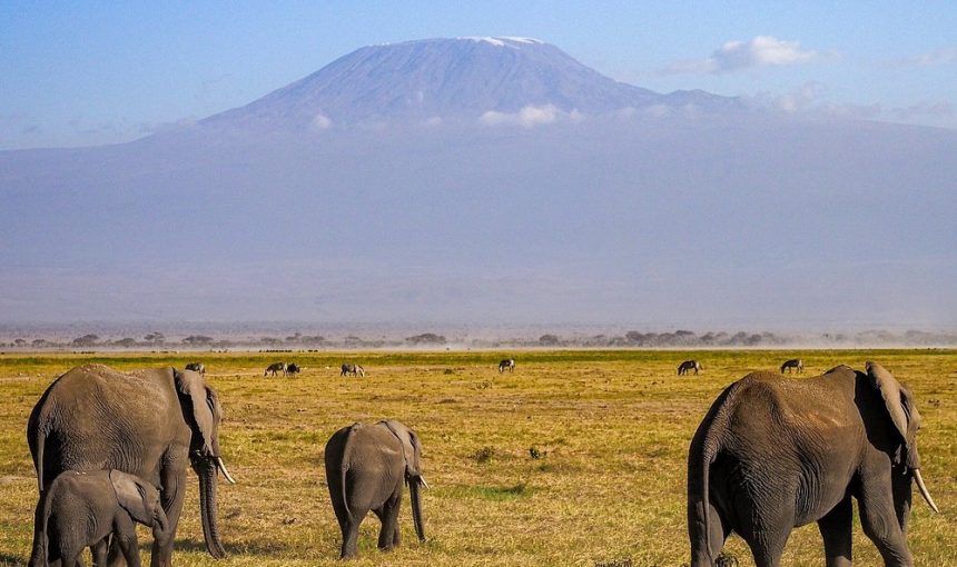 2-Day Amboseli Safari -Mid Range