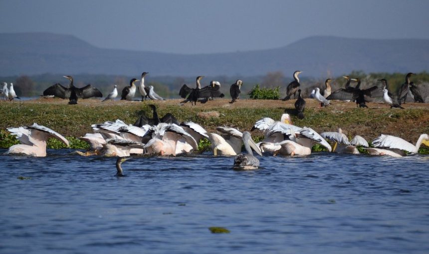 9-Day Big 5 Kenya Safari – Mid-Range
