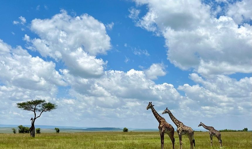12-Day Kenya Safari in Trails