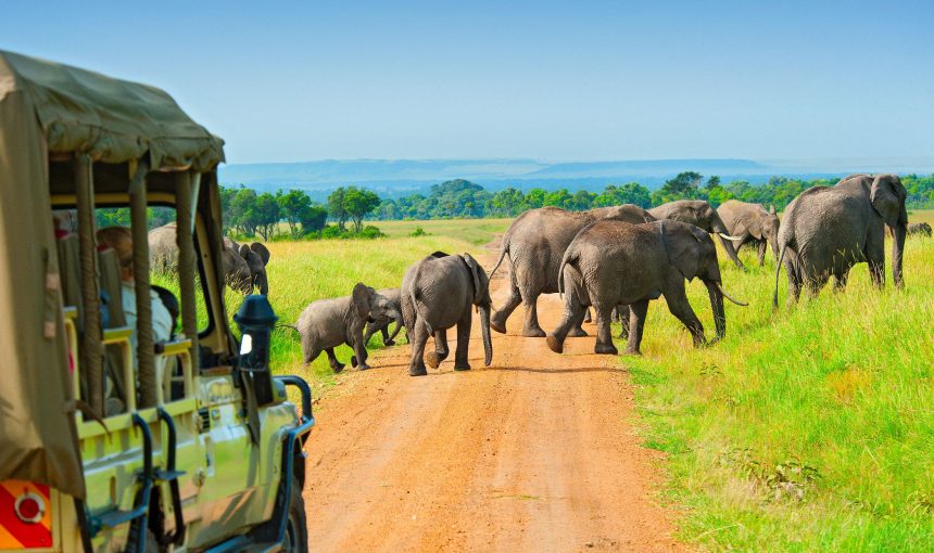 7-Day Kenya Off the Beaten Path  Safari – Mid-Range