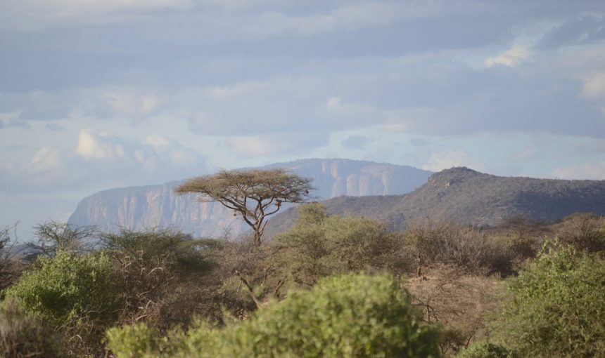 4-Day Samburu Safari & Meru National Park Tour
