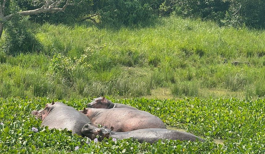10-Day Uganda Wildlife Safari & Primates Tour
