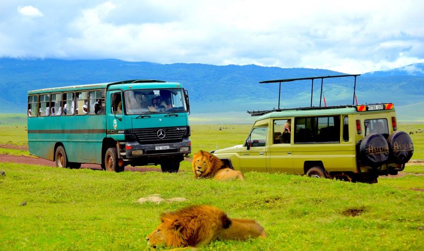 6-Day Private Wakanda Comfort Lodge Safari