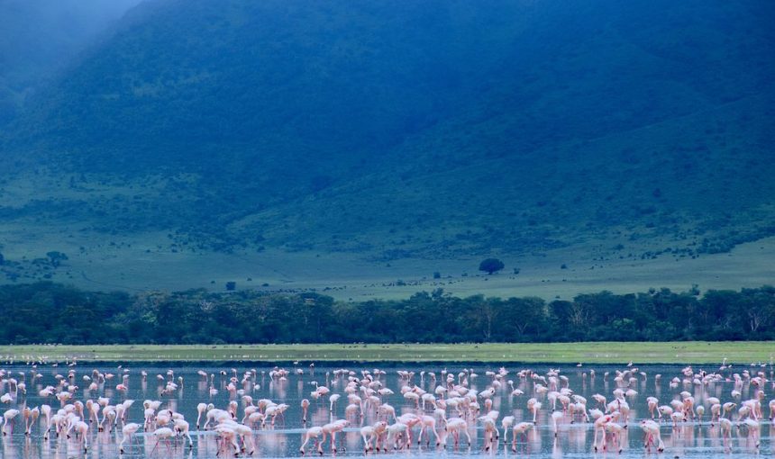 5-Day Tarangire, Serengeti, Ngorongoro & Manyara Safari