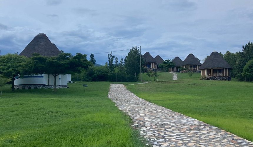 10-Day Uganda Gorilla Safari and Wildlife Adventure