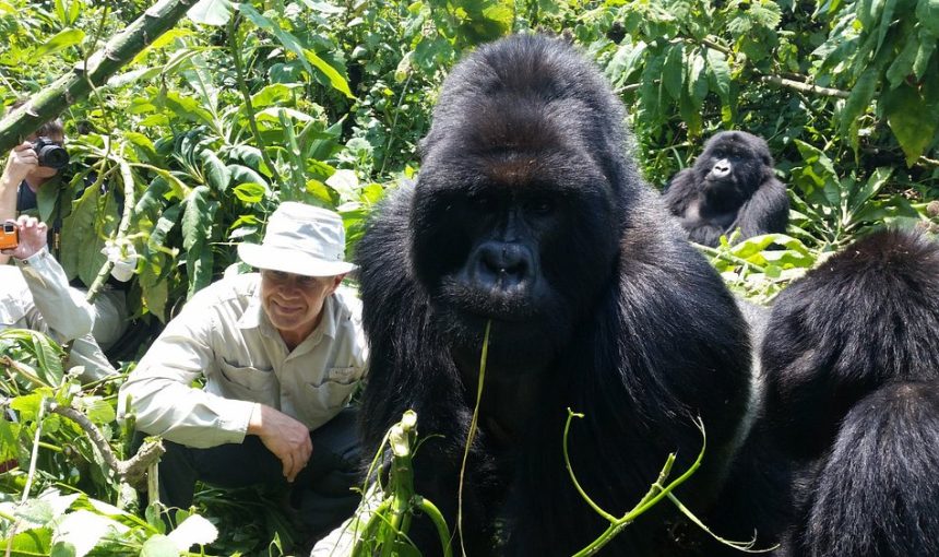 3-Day Rwanda Gorilla Trekking Safari