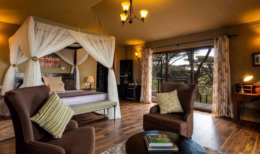 Top 10 Best Tanzania Safari Lodges and Camps: A Guide to the Ultimate Safari Experience
