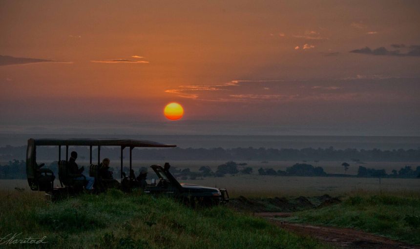 10 Insights on What To Expect on Safari