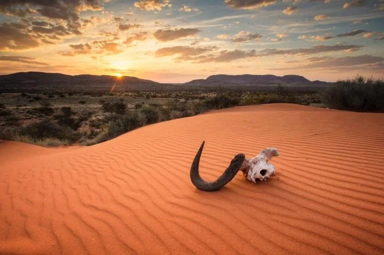 10 Interesting Kalahari Desert Facts: Discover the Secrets of Africa’s Iconic Desert