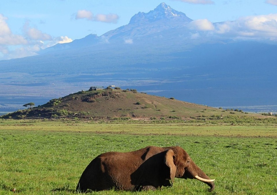 Screenshot_2025-11-14-07-59-00-22_84b7bb580dcaf8d9c8925ed9fd44c1fc~2