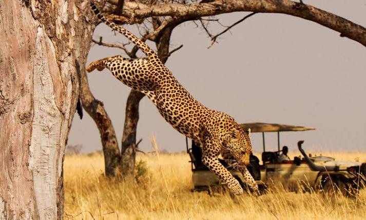 Akagera National Park
