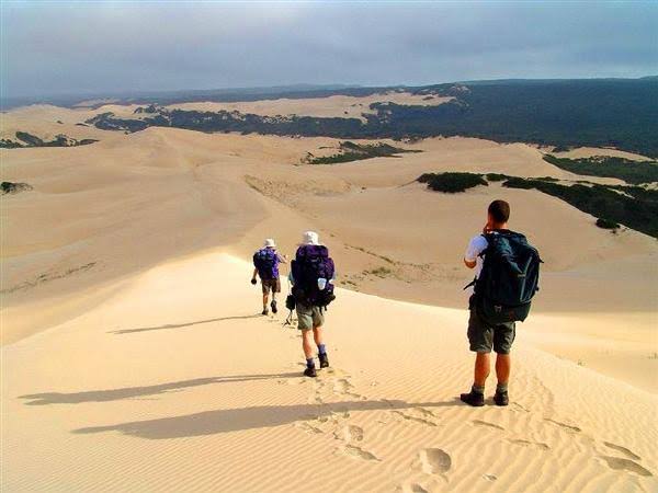 Alexandria Dune Fields