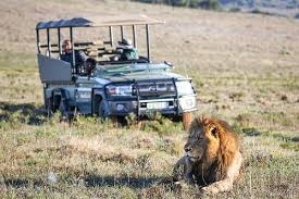 Amakhala Main Game Reserve