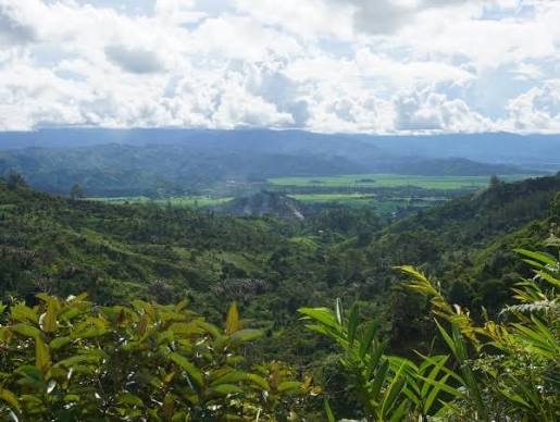 Andapa Basin