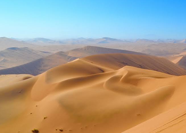 Big Daddy Dune