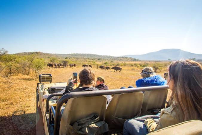 Big Five Game Drives