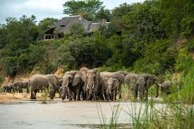 Big Five Viewing Areas
