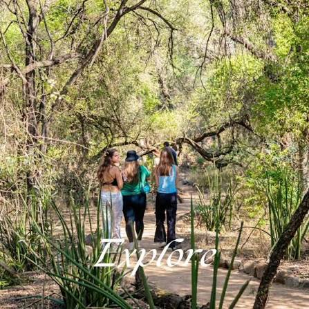 Bush Walk Trails