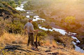 Bush Walking Trails