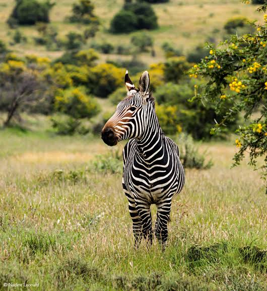 Bushman’s River Valley