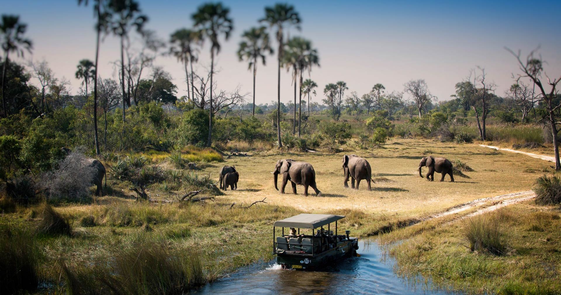Chobe Forest Reserve