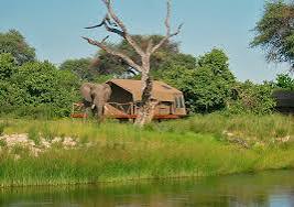 Chobe National Park and Savuti Marsh ahh3