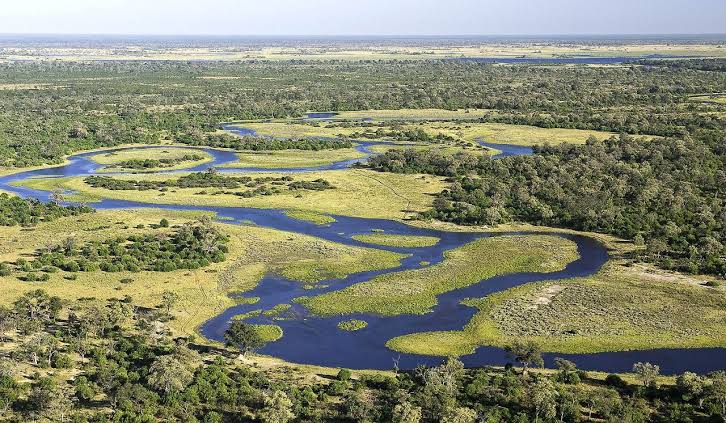 Chobe National Park and Savuti Marsh