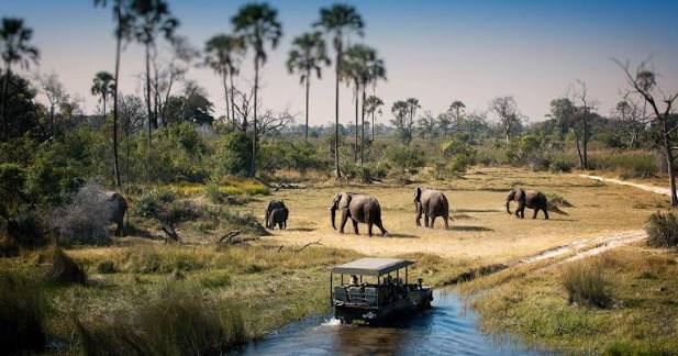 Chobe National Park