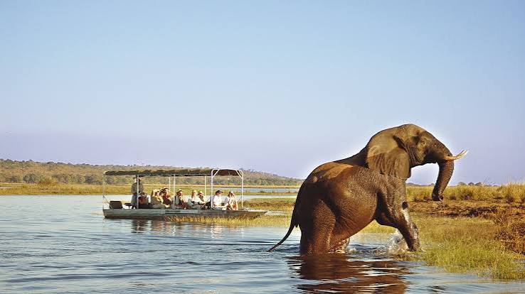 Chobe Riverfront