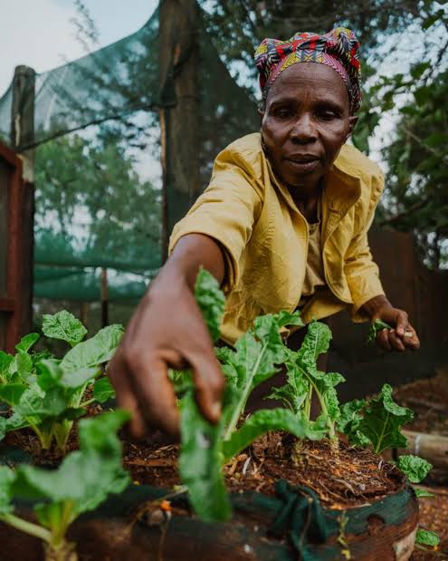 Community Conservancies