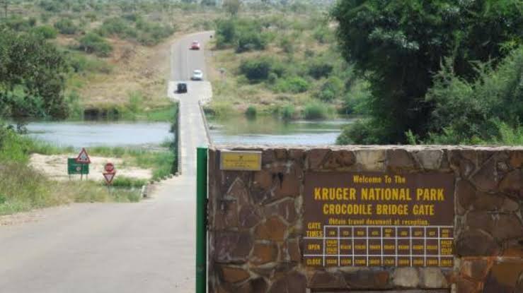 Crocodile Bridge