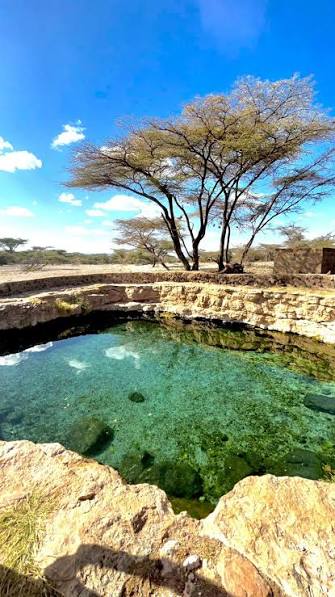 Crocodile Pools