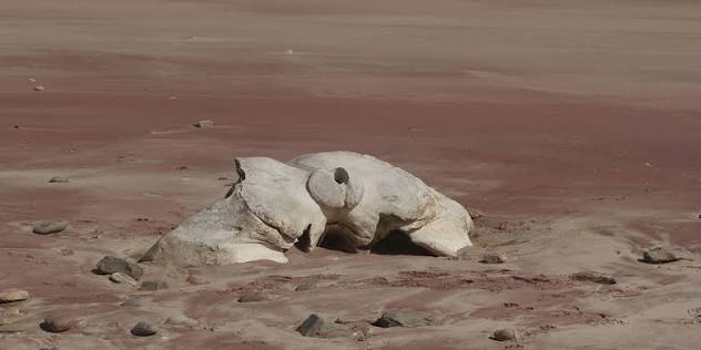 Damaraland