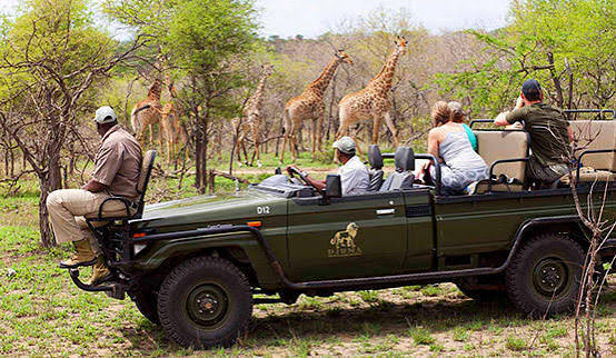 Djuma Private Game Reserve