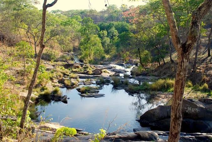 Dzalanyama Forest Reserve (Nearby)