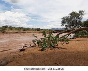 Ewaso Nyiro Riverbanks