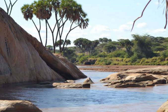 Ewaso Nyiro Riverbanks