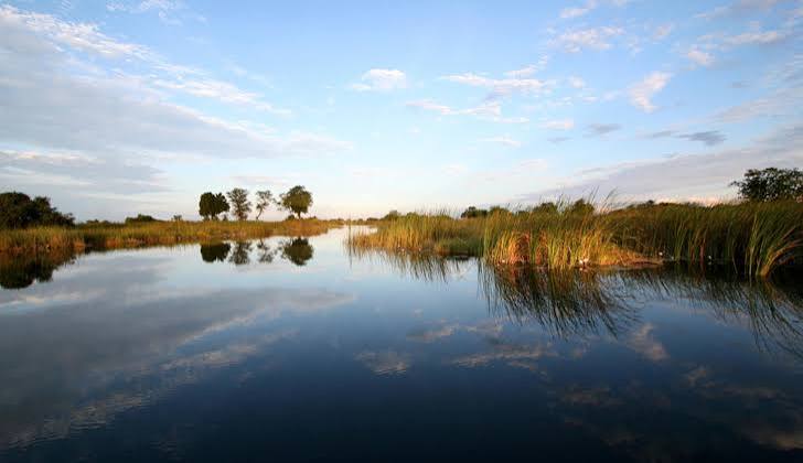 Floodplains of Nkasa