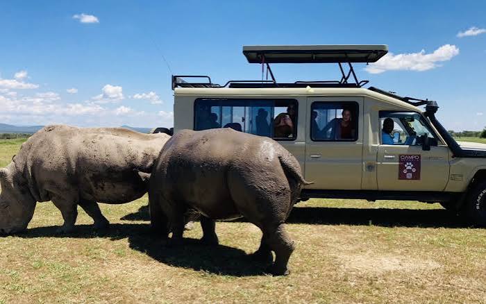Game Drive Circuit